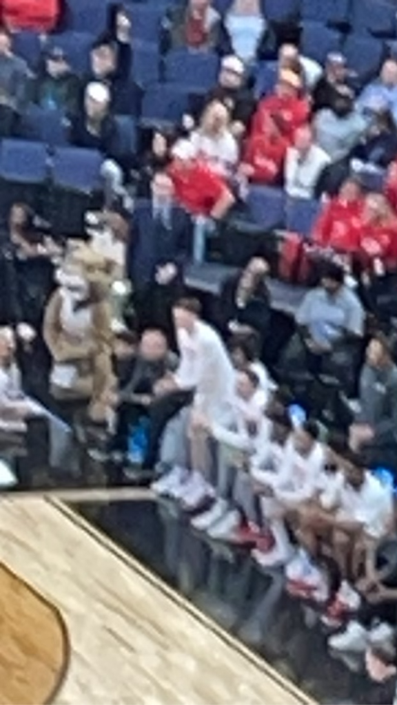 Ryan Elvin on the UH bench